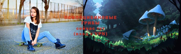 мет Алексин