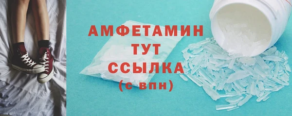 мет Алексин