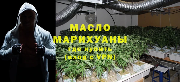 мет Алексин
