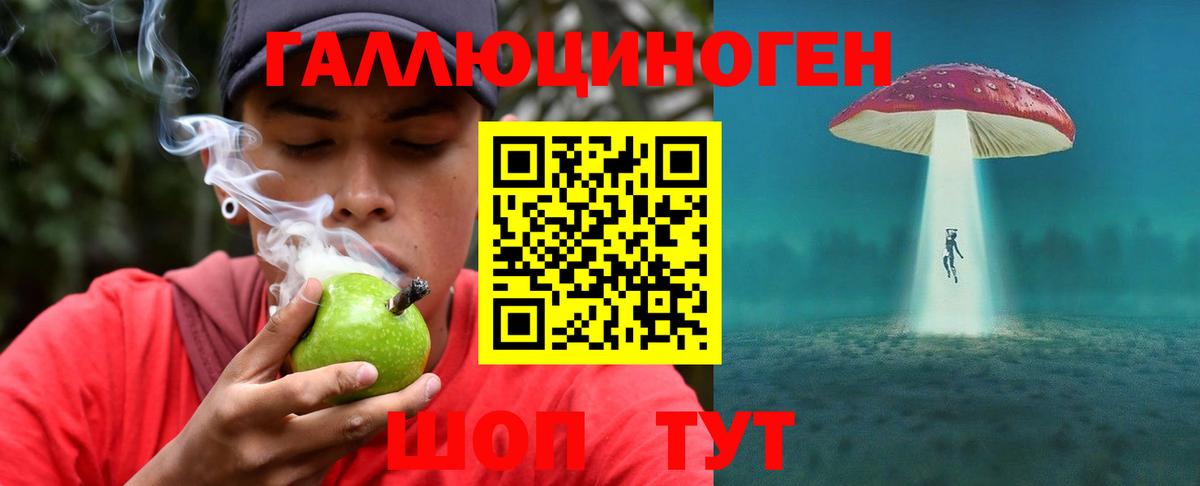купить наркотики сайты  Вход с VPN  Елабуга  Псилоцибиновые грибы прущие грибы 